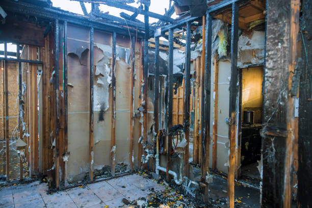 Professional Fire Damage Removal technician working in Bear Creek, AK